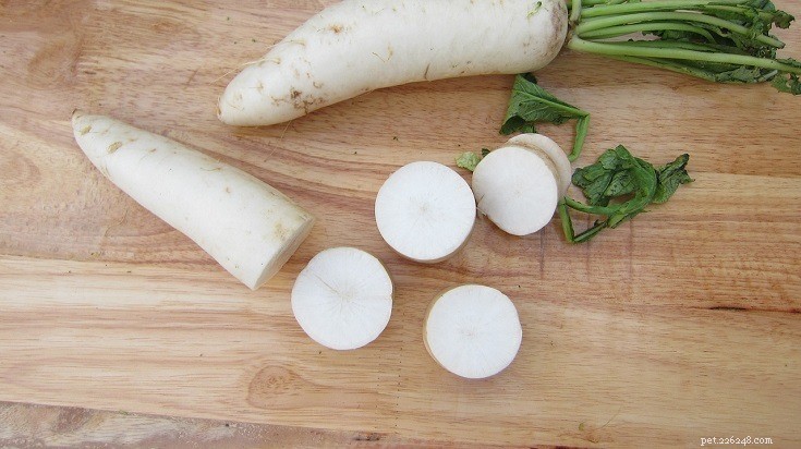 Are Radishes Safe for Parrots? A Comprehensive Guide to Parrot Nutrition