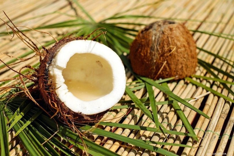 Can Parrots Safely Eat Coconut? Expert Insights & Feeding Tips