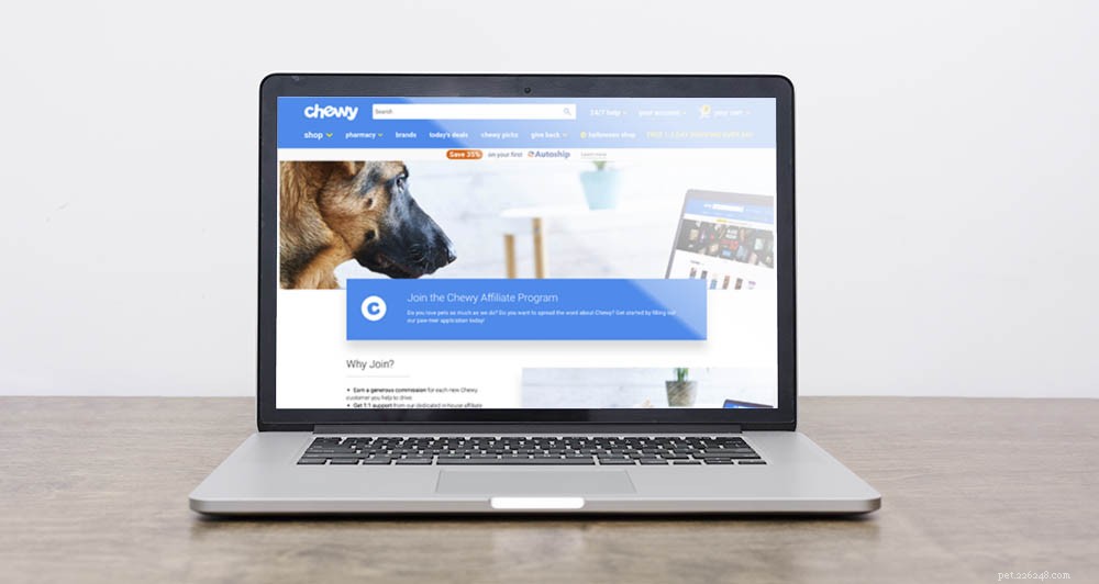 Chewy Affiliate Program 2022 Review: Comprehensive Pros, Cons & Final Verdict