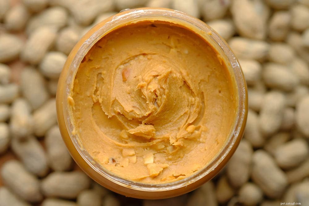 Can Parakeets Safely Eat Peanut Butter? A Comprehensive Guide