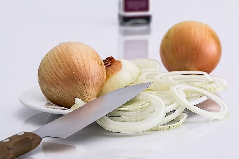 Can Parrots Safely Consume Onions? Key Safety Insights