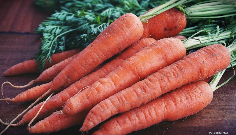 Turtles & Carrots: A Safe, Nutritious Treat for Your Reptile Companion