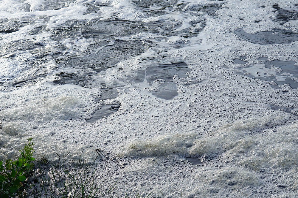 Safely Eliminate Pond Foam in 5 Proven Steps