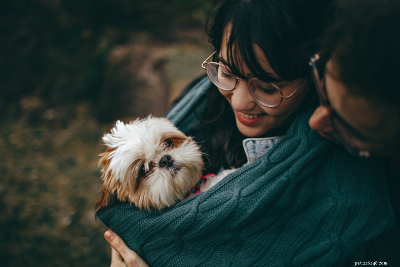 11 Powerful Reasons to Adopt a Pet