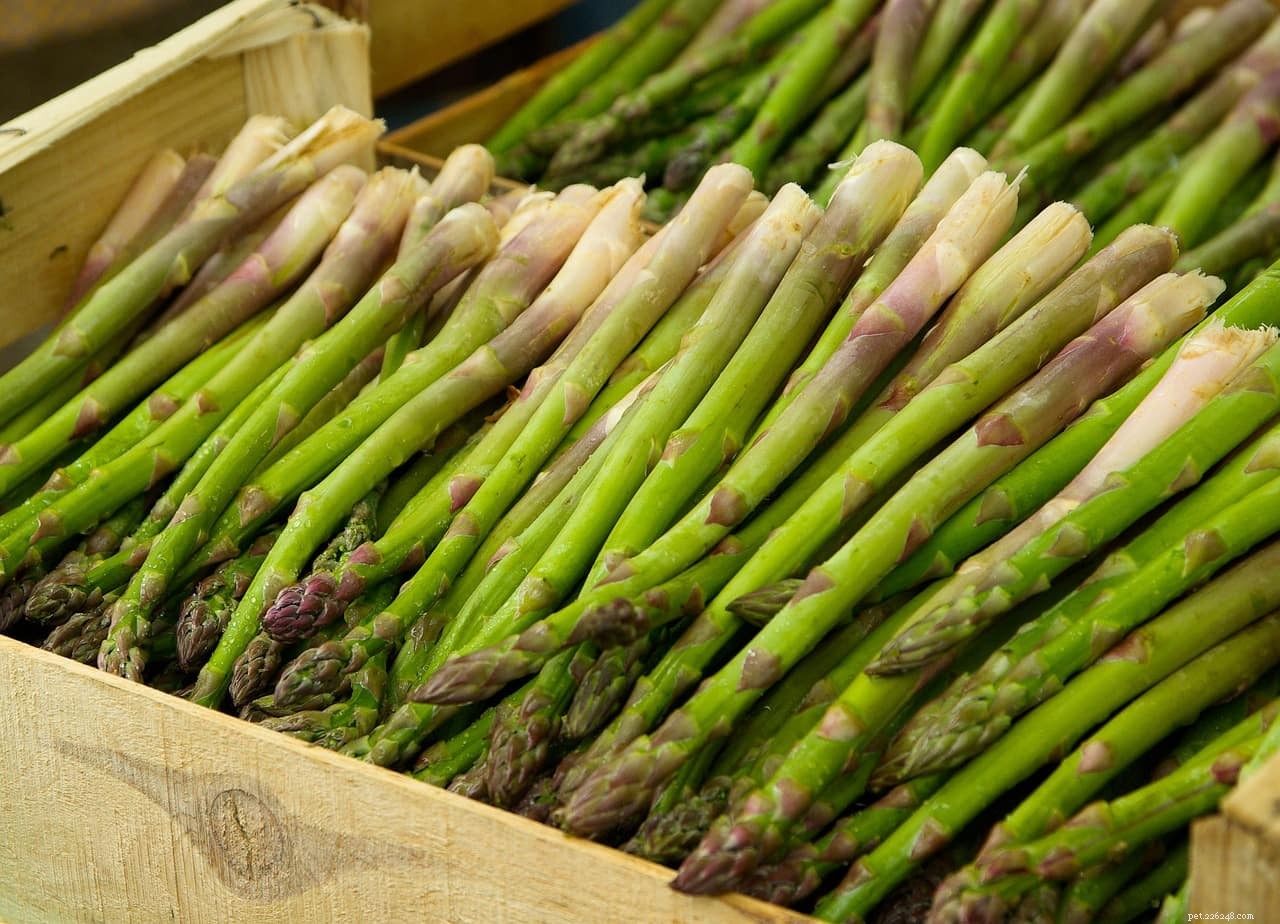 Can Chickens Eat Asparagus? A Clear Guide for Responsible Feeding
