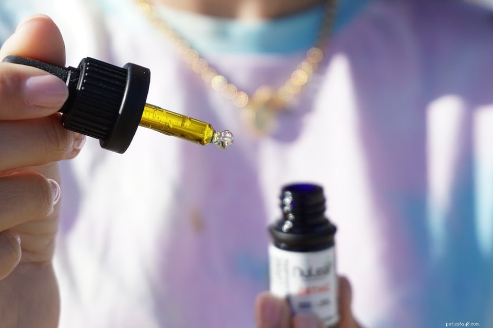 CBD for Horses: Proven Benefits, Usage Guidelines, and Expert Insights