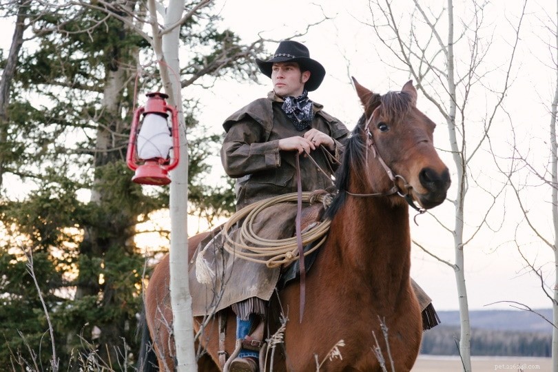 Is Riding a Horse Under the Influence Considered a DUI?