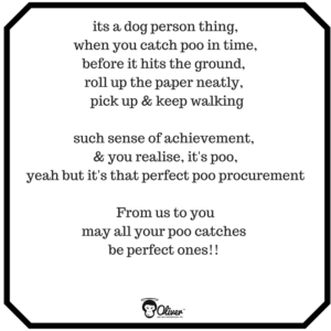The Poo Post: A Guide for Responsible Pet Parents