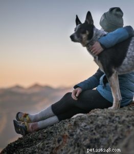 The Ethics of Owning Pets: A Balanced Perspective