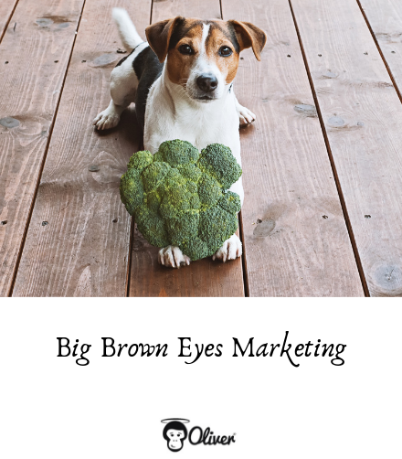 How Dog Food Marketing Manipulates You – Choose Science Over Buzzwords