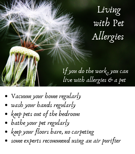 Living with Pet Allergies: Strategies to Thrive & Care for Your Furry Friends