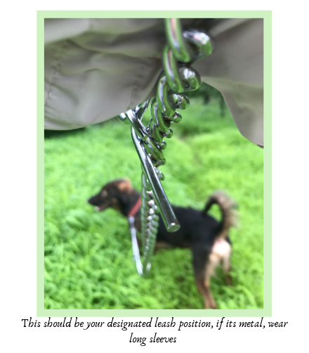 Expert Guide to Walking Your Dog: Tips for a Healthy, Enjoyable Stroll