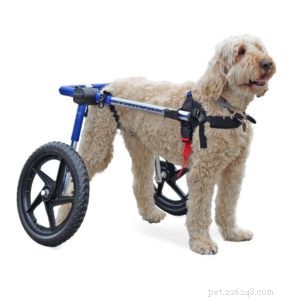 Unbreakable, Invisible Pet Leash: The Ultimate Safety Solution