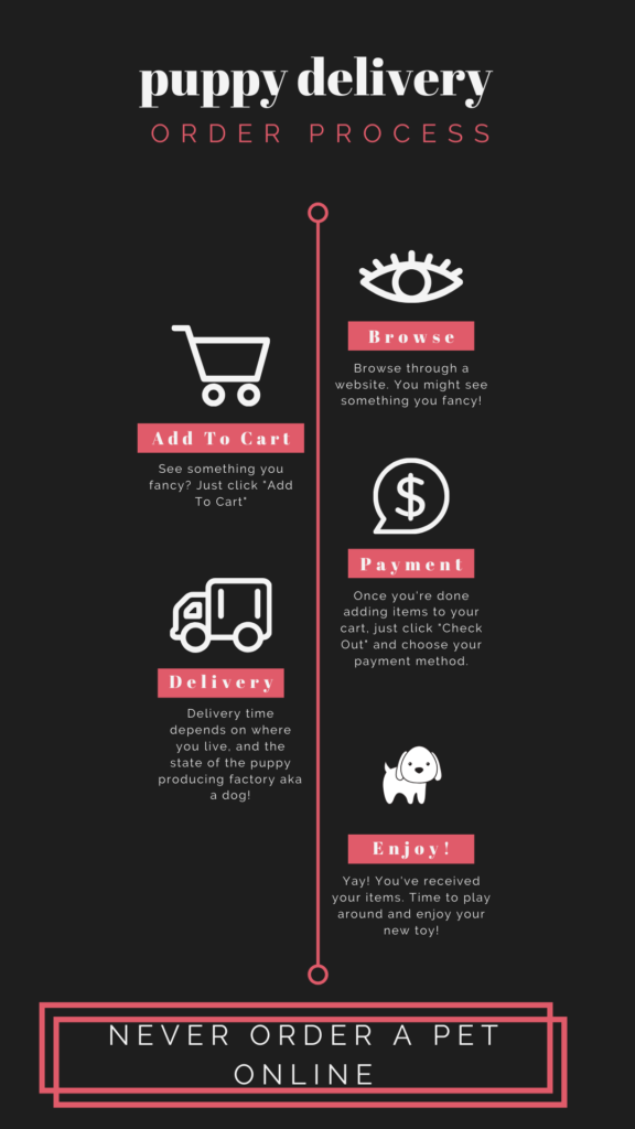Securely Buying a Puppy Online: A Responsible Guide