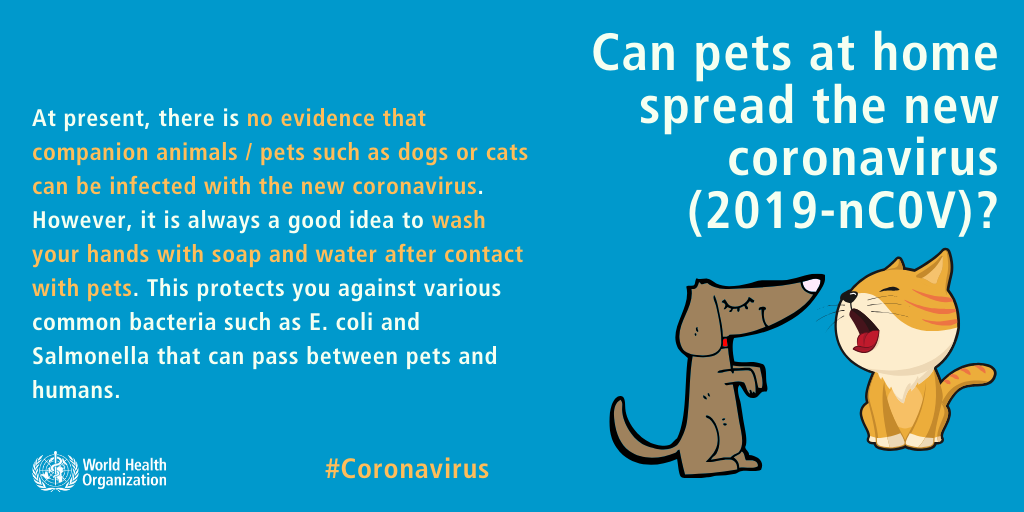 Animal Welfare Board of India: COVID‑19 Guidelines for Pet Owners