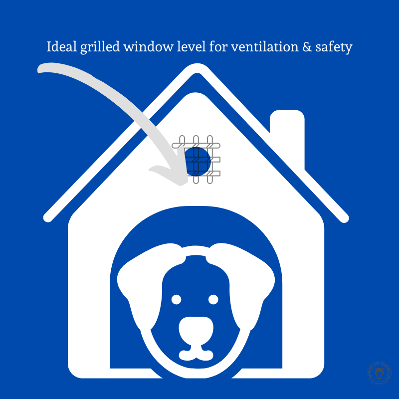 Choosing the Right Dog Boarding Facility: A Comprehensive Guide