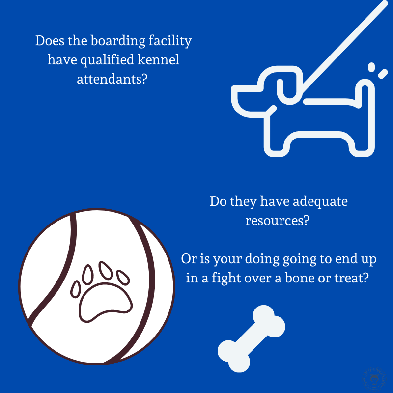 Choosing the Right Dog Boarding Facility: A Comprehensive Guide