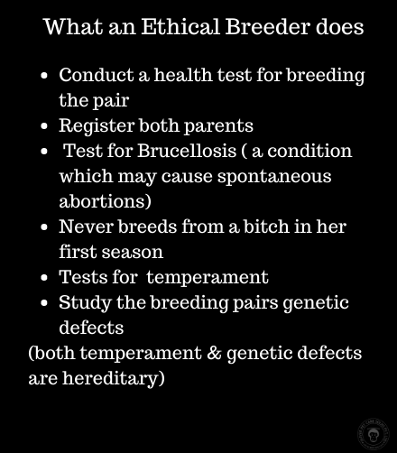 Finding an Ethical Dog Breeder: Trends & Insights