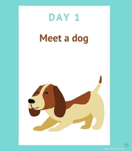 Dog University: Engaging Lesson Plans for Teaching Children About Canine Care
