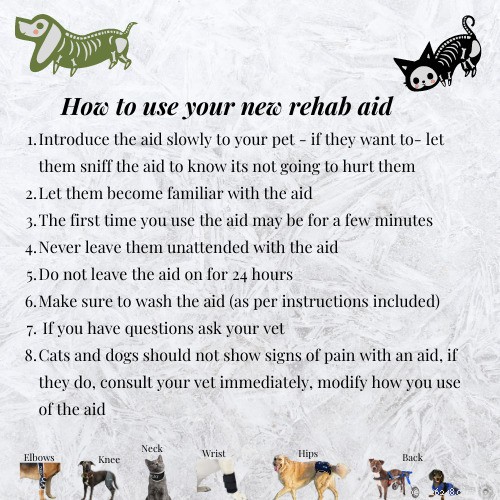 Maximize Your Purchase: A Guide to Proper Introduction and Usage