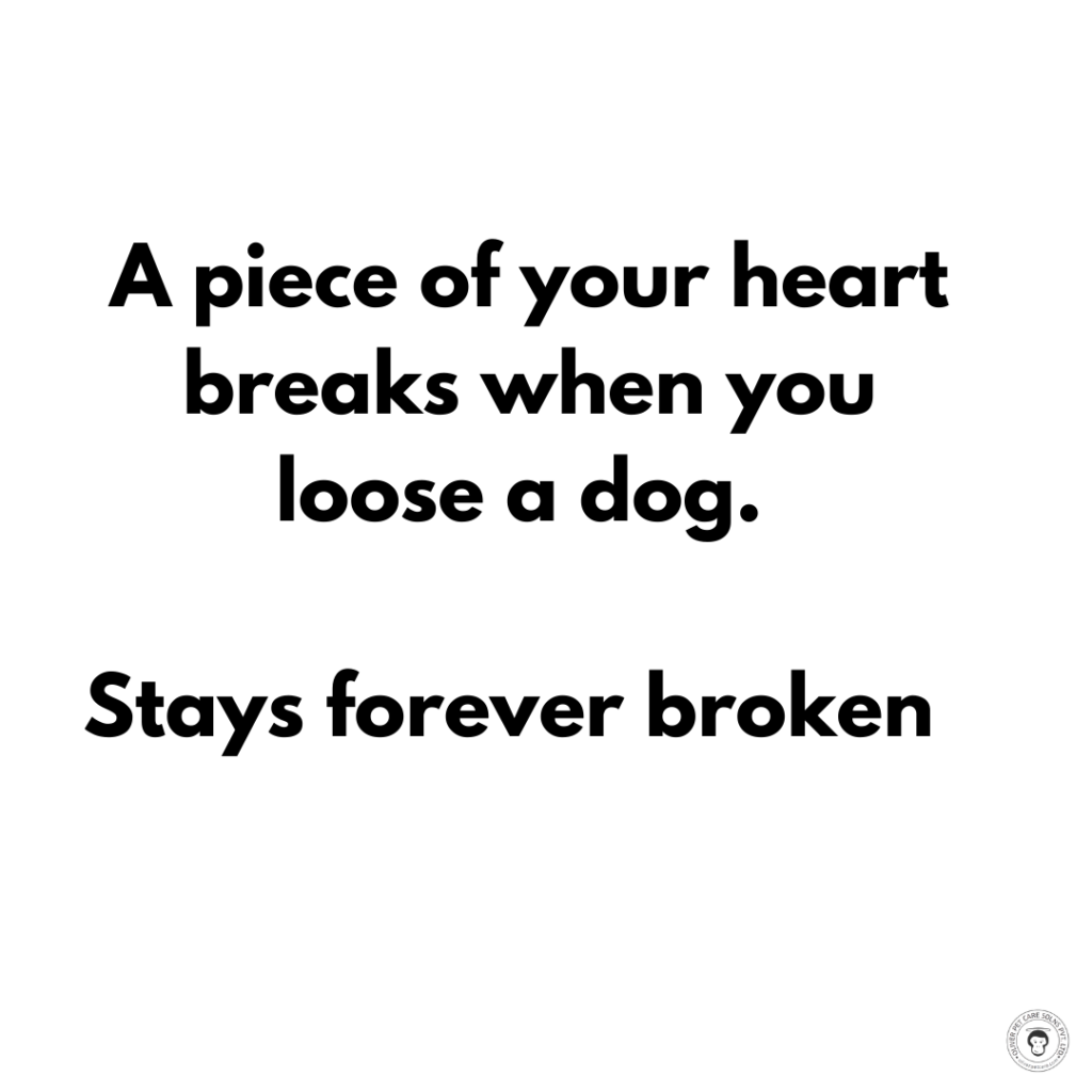 How Losing a Family Pet Affects Your Child s Emotional Well‑Being