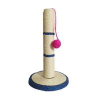 Dog & Cat Toys: Who They’re For and How They Benefit Pets