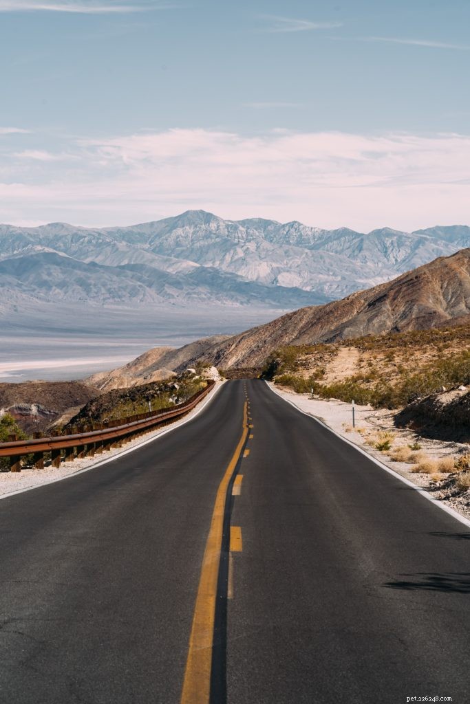Traveling Safely in an RV with Your Dog: Essential Guide