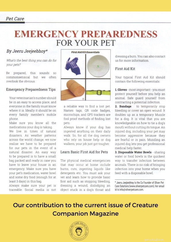 Pet Emergency Preparedness: A Comprehensive Guide