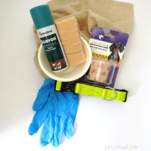 Pet Emergency Preparedness: A Comprehensive Guide