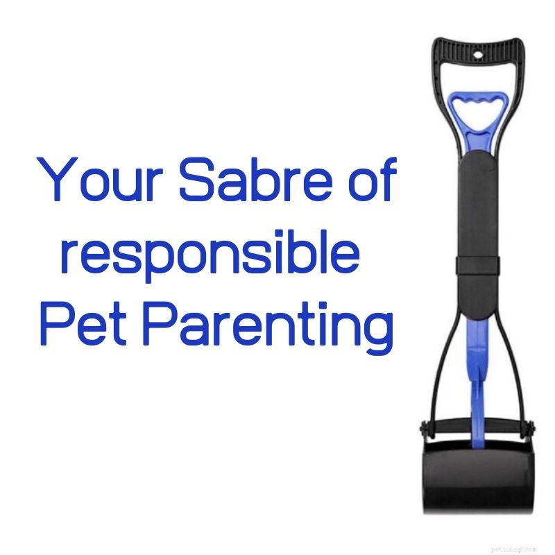 Pet Pooper Scooper: The Essential Tool for Responsible Dog Owners