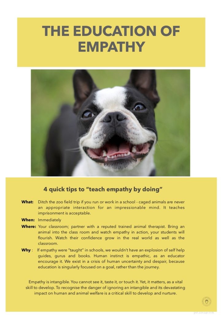 Cultivating Empathy: Building Compassion in Our Society