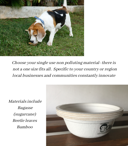 Why Single-Use Solutions are Essential for Your Animal Shelter