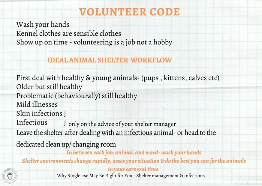 Why Single-Use Solutions are Essential for Your Animal Shelter