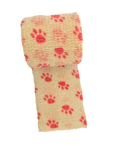 Why Single-Use Solutions are Essential for Your Animal Shelter