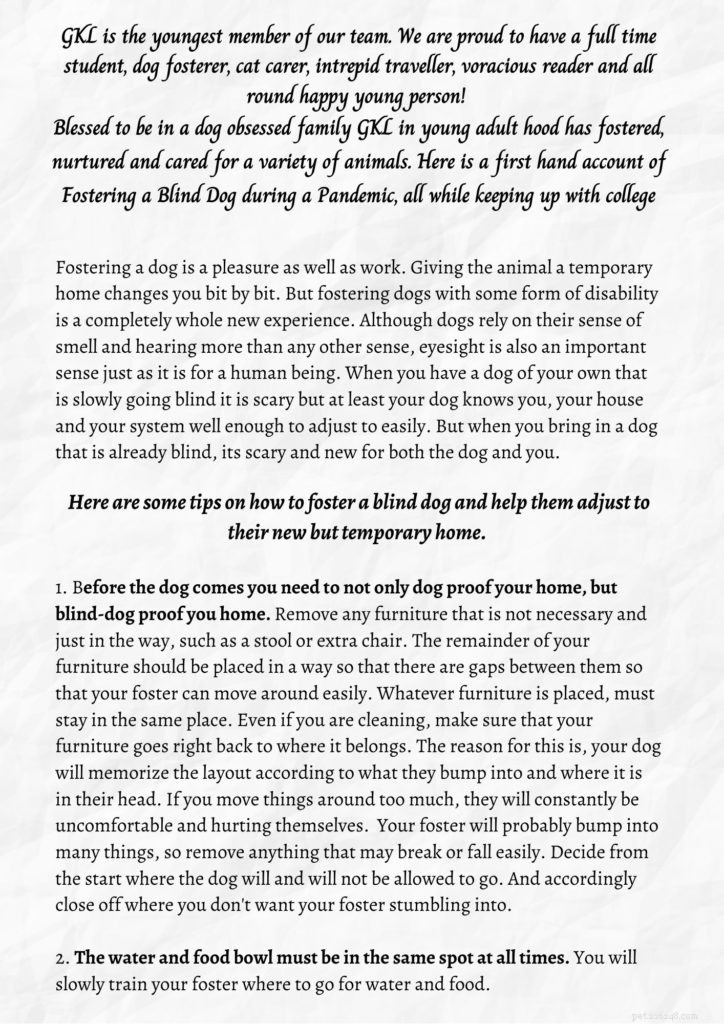 Living with and Caring for Blind Dogs: A Practical Guide