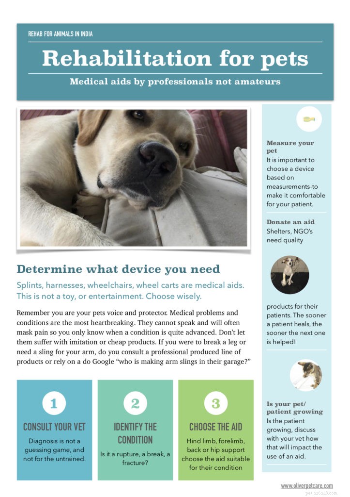 Comprehensive Pet Rehabilitation: Enhancing Quality of Life