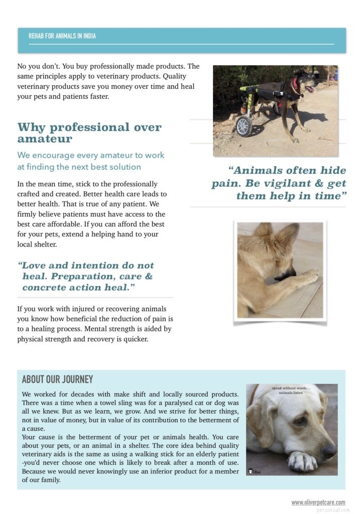 Comprehensive Pet Rehabilitation: Enhancing Quality of Life