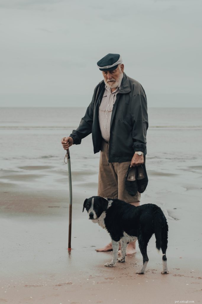 10 Engaging Pet Care Tips & Fun Facts for a Stress‑Free Companion