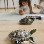 Choosing the Ideal Pet for Your Child: A Practical Guide
