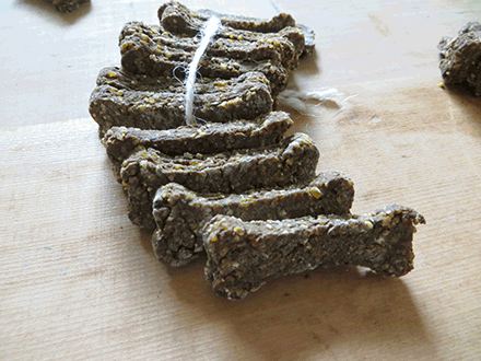 Top Dog Treats for Effective Training: Boost Focus & Rewards