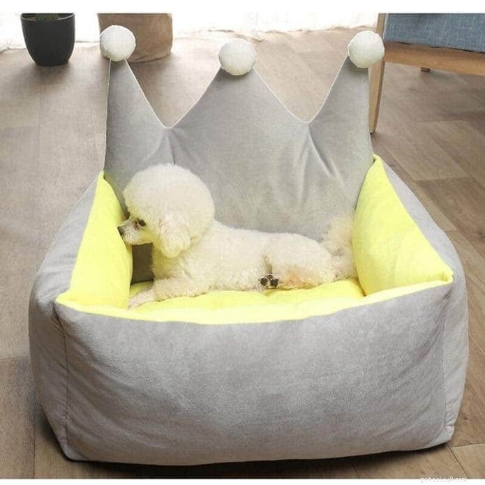 Celebrate the Season: The Ultimate Holiday Gift Guide for Your Pet