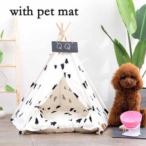 Celebrate the Season: The Ultimate Holiday Gift Guide for Your Pet