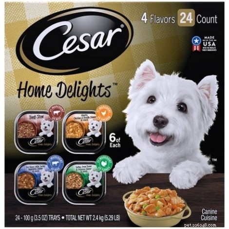 Top Grain‑Free Dog Foods of 2021: Expert Picks for Your Pet s Health