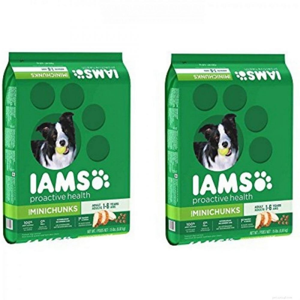 Top 5 Dog Food Choices for All Breeds: Healthy & Balanced Nutrition