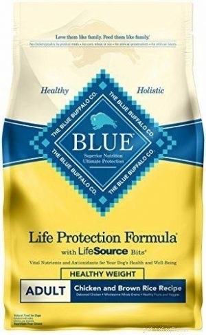 Top 5 Dog Food Choices for All Breeds: Healthy & Balanced Nutrition