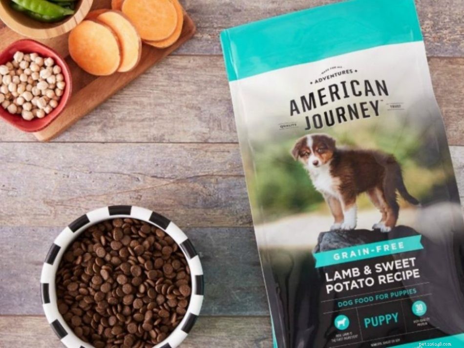 Top 5 Dog Food Choices for All Breeds: Healthy & Balanced Nutrition