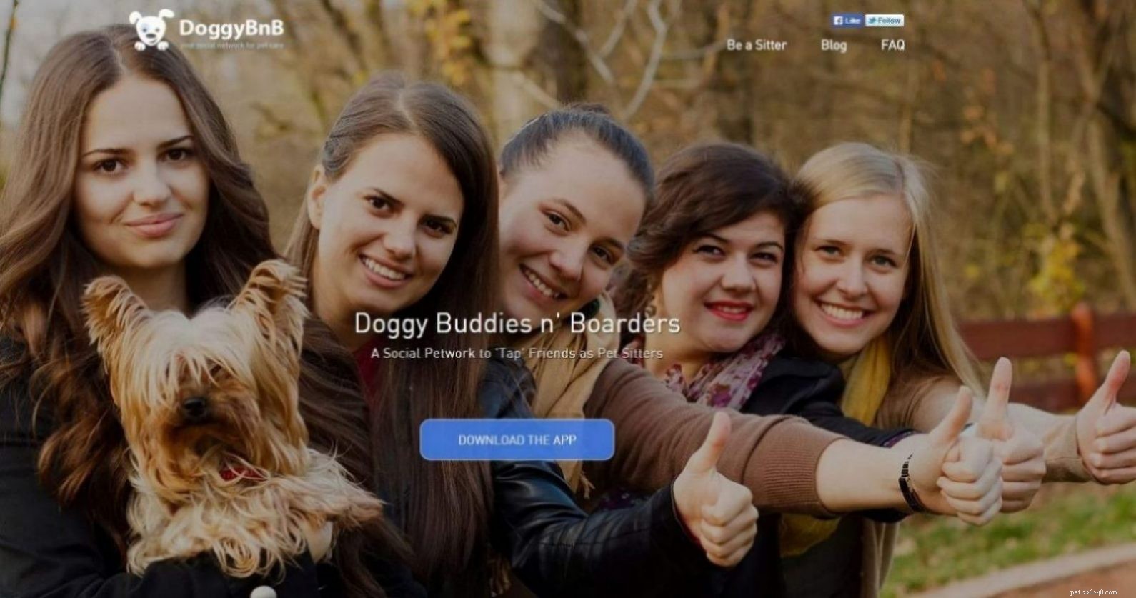 Top 5 Social Platforms Every Pet Lover Should Explore
