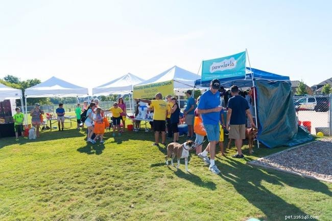 2021 Pet Events Guide: Top Celebrations & Upcoming Activities