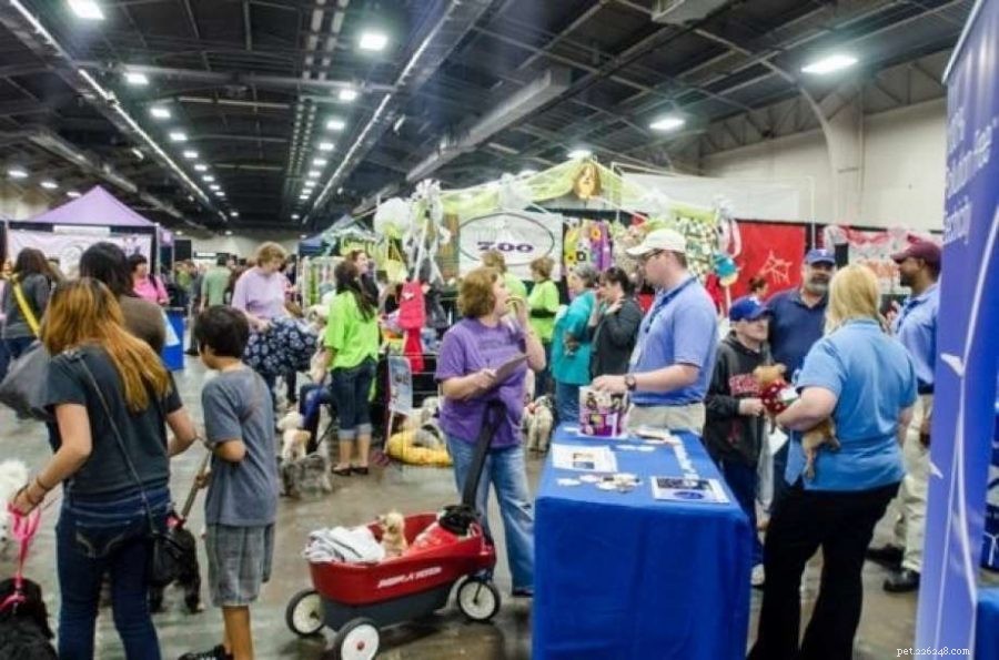 2021 Pet Events Guide: Top Celebrations & Upcoming Activities