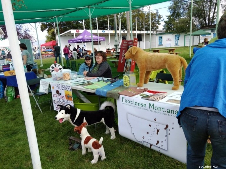 2021 Pet Events Guide: Top Celebrations & Upcoming Activities